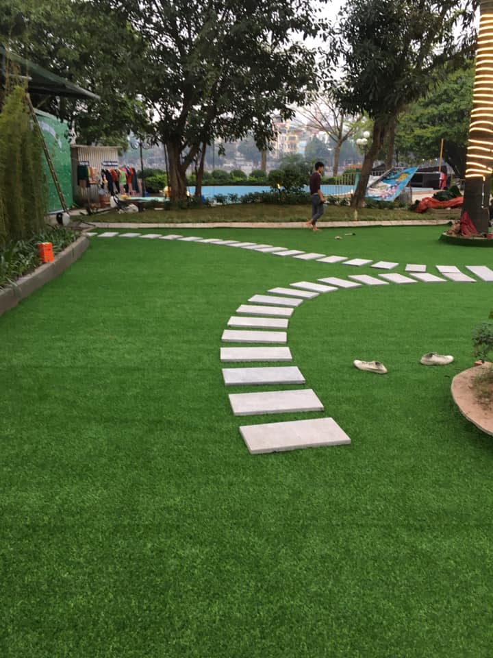 thảm cỏ nhân tạo giá rẻ
